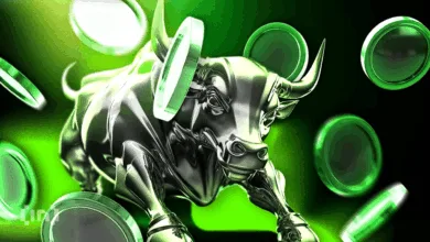 Investitionsstrategien im Bullenmarkt: Einblick von Krypto-Experten