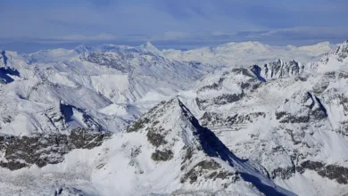 Dogwifhat und Bitcoin Pepe: Ein Blick auf bevorstehende Krypto-Trends