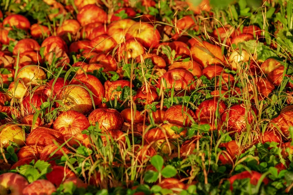 Aufbruch in der Krypto-Welt: Gala ebnet den Weg für Lohnzahlungen in Stablecoins