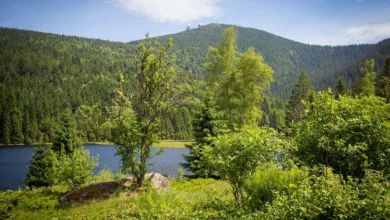 Kleinere Altcoins im Aufschwung: ResearchCoin und Electroneum profitieren