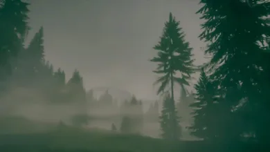 Krypto-Markt im Wandel: Bitcoin und Ethereum im Abwärtstrend, NFTs auf Aufschwung