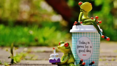 Optimistische Bitcoin-Prognosen: Juli verspricht Gewinne trotz Startschwierigkeiten