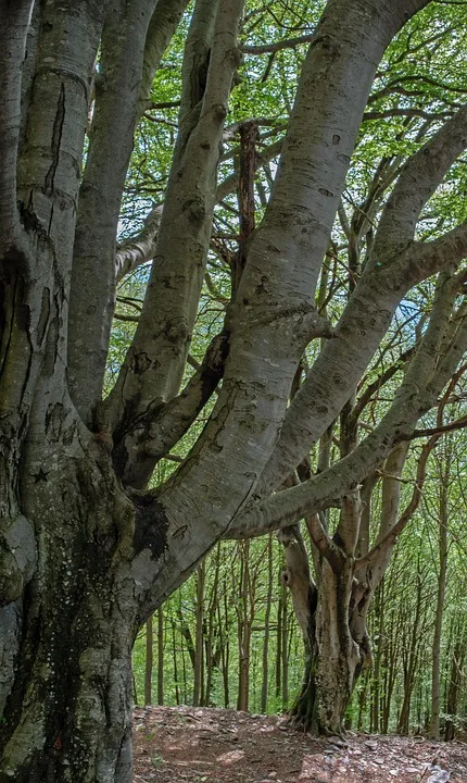 Europäische Stablecoins im Aufwind: Auf dem Weg zur Unabhängigkeit