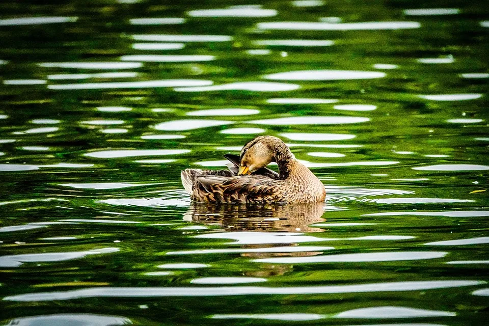 Klarheit für Kryptowährungen: Der GENIUS Act als neuer Meilenstein