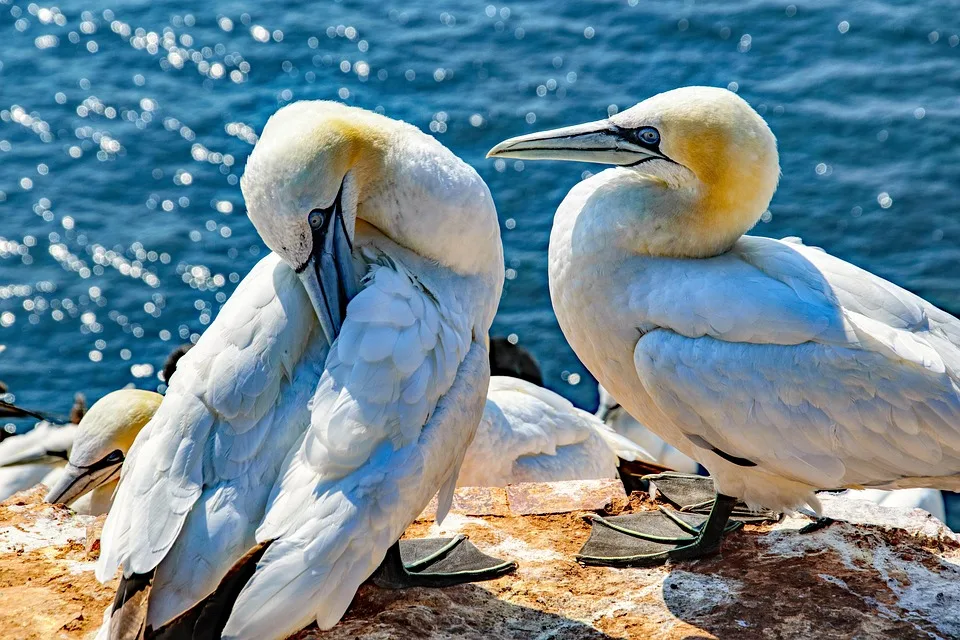 Krypto-Boom: Wie lange hält der Bitcoin-Bullenlauf an?