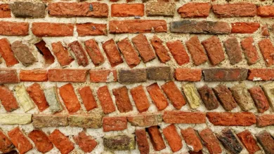 Dogecoin im Aufwind: Prognosen für Kurs und mögliche Korrektur