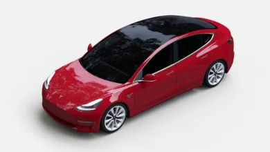 Teslas Krypto-Bestände erreichen neuen Höchstwert trotz Umsatzrückgang