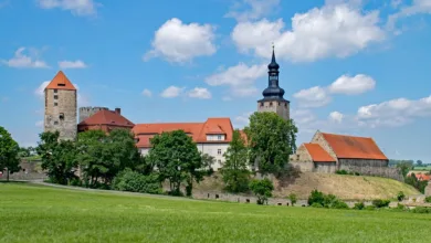 Krypto-Furcht- und Gier-Index zeigt anhaltende Gier unter Investoren