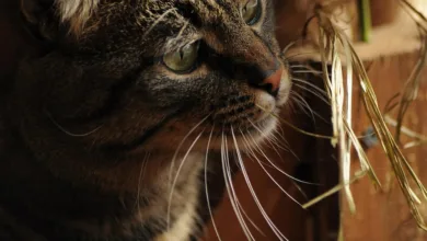 Ethereum: Plötzlicher Kursanstieg und das neue Interesse erklärt