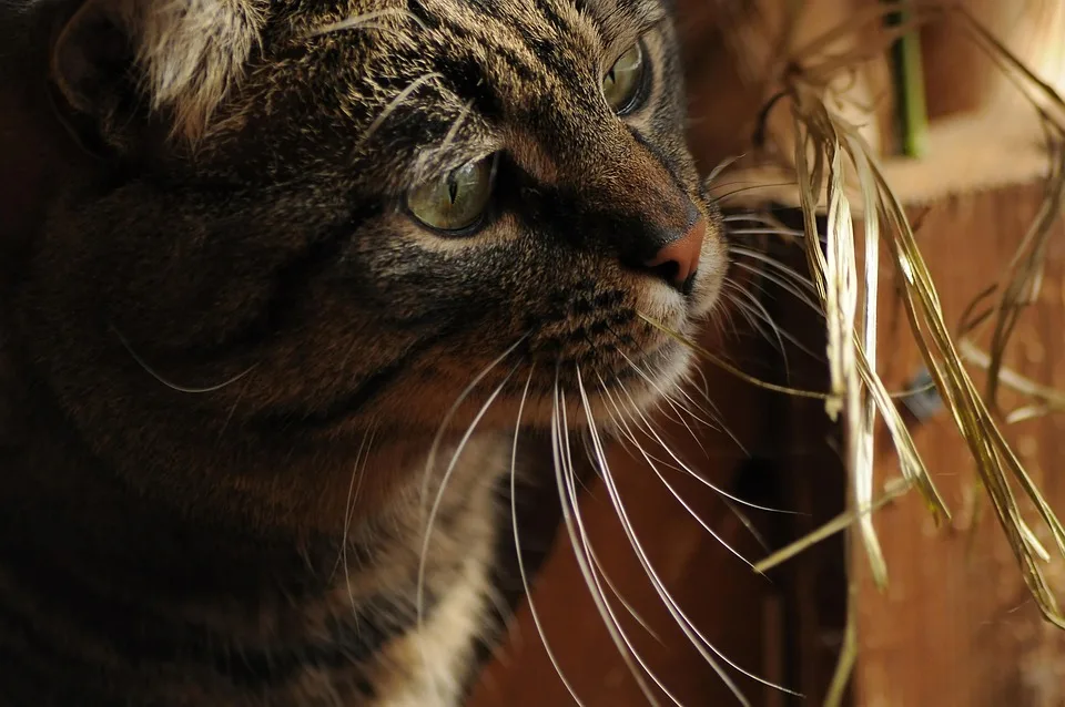 Ethereum: Plötzlicher Kursanstieg und das neue Interesse erklärt