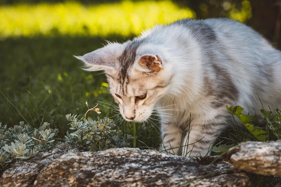Bitcoin in der Konsolidierung: Anleger passen sich an neue Marktbedingungen an