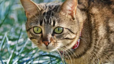 Kryptowährungen im Fokus: Chancen und Risiken der Crypto Week in den USA