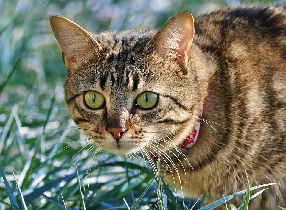 Kryptowährungen im Fokus: Chancen und Risiken der Crypto Week in den USA