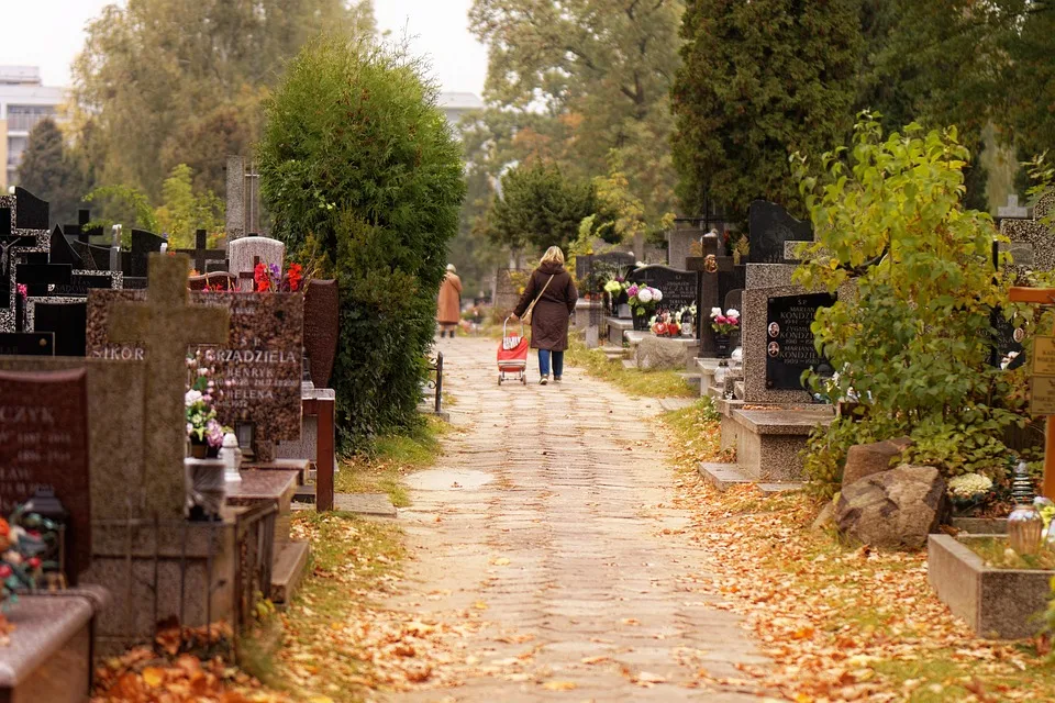 Die Zukunft der Meme-Coins: Troller Cat stielt die Show im Chaos