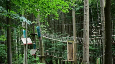 Cardano Kurs zeigt erstes Lebenszeichen – Steht der Ausbruch bevor?