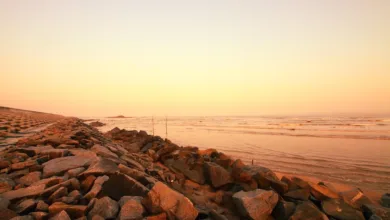 Neue Gesetzesentwürfe für den Kryptomarkt bieten Chancen für Startups