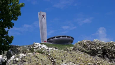 Sci-Hub startet Krypto-Revolution: Der SCI-Token zwischen Ideologie und Risiko