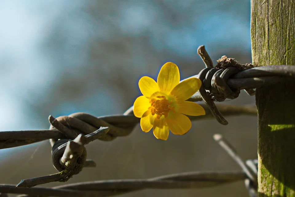 MiCA-Regulierung: Unterschiede in der EU gefährden fairen Wettbewerb