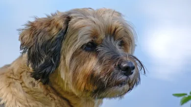 Quantencomputer und Krypto: Ein Blick auf mögliche Zukunftsrisiken