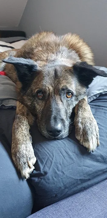 Die besten Krypto-Casinos im Juli 2025: Wo Spielspaß auf Sicherheit trifft