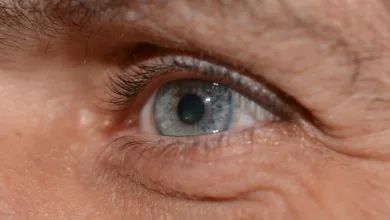 Kryptomarkt im Sturzflug: Chancen für kluge Investoren erkennen