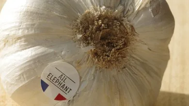 Krypto-Highlights: Bitcoin bleibt stark, Ethereum und Neuheiten begeistern