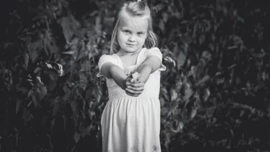 Bitcoin auf dem Weg zur $230K-Marke: Analysten geben Optimismus weiter