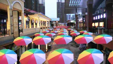 Pharmakonzern MEI Pharma investiert in Litecoin: Ein neuer Trend?