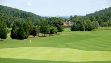 Dogecoin: Stabilisiert sich der Kurs an entscheidender Unterstützung?