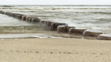 Krypto-Markt erreicht 4 Billionen Dollar: Neue Dynamik durch Politik und ETFs