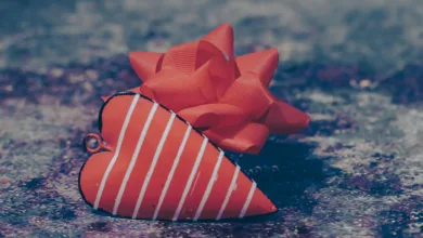 Die vielversprechendsten Altcoins: Welche Token jetzt investieren?