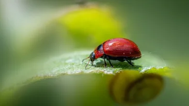 Krypto-Neulinge im Fokus: Vier vielversprechende Presales für Investoren