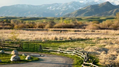 Ethereum ETFs erreichen 5 Milliarden Dollar: Ein Wendepunkt im Krypto-Markt