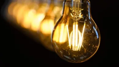 Kryptomarkt im Fokus: Finanzratgeber zu FOMC und Krypto-Policy-Report