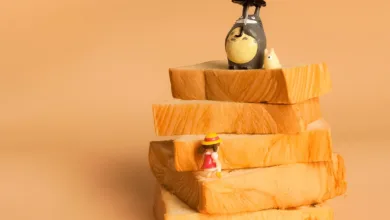 PENGU-Transfer: 66 Millionen Dollar und die Suche nach Vertrauen