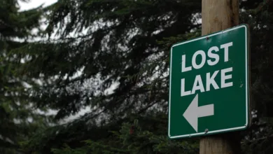 Krypto-Diebstähle 2025: Bislang über 2 Milliarden Dollar verloren