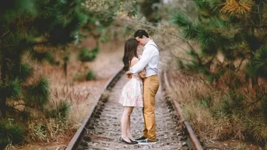 Linea: Die revolutionäre Ethereum-Erweiterung für maximale Renditen