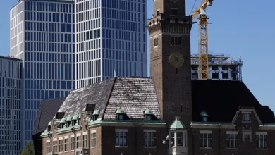 Cardano: Auf dem Weg zu neuen Höhen oder Gefahr des Rücksetzers?