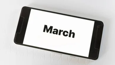 Krypto-Revolution: Bitcoin-Hoch und Altcoin-Boom in dieser Woche