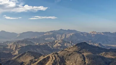 Dogecoin und Pepeto: Ein Wettlauf um die Krypto-Zukunft in unserer Region