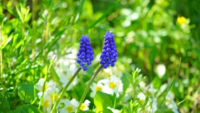 Wie Quid Miner die Welt des Cloud-Minings für jeden zugänglich macht