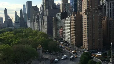 Solana-Token im Fokus: Neuer ETF und kontinuierliches Wachstum