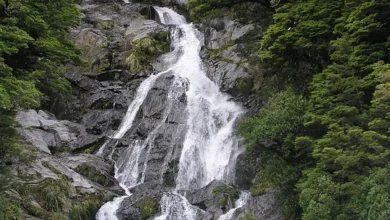 Bitcoin fällt unter 118.000 USDT: Marktveränderungen im Fokus