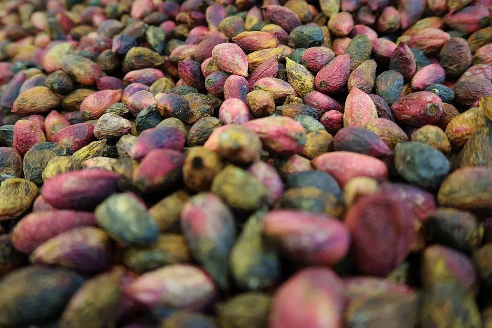 Kryptowährungen im Wandel: Wie der Dollarverfall die Märkte beeinflusst