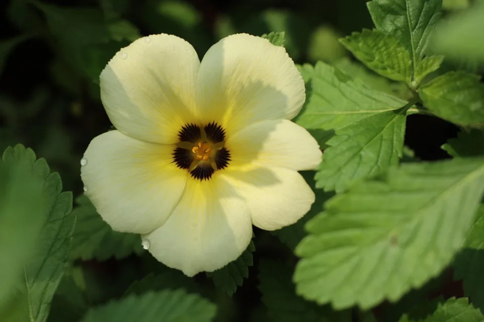 Der Rückgang der NFT-Märkte: Fünf Quartale in Folge im Minus