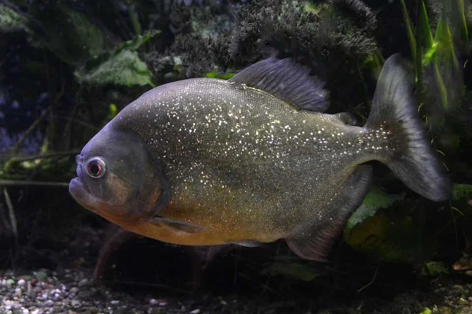 Krypto-Entführungen: Neue Gefahren für Anleger in der digitalen Welt