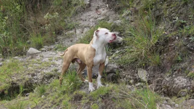 Die besten Krypto-Casinos im Juli 2025: Sicher und schnell spielen