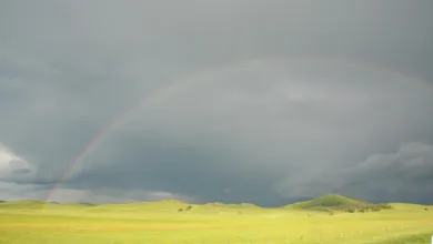 Remittix: Die nächste große Kryptowährung für Real-World-Anwendungen