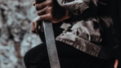 Langfristige Bitcoin-Halter erhöhen Druck auf den Markt: Ein neues Gleichgewicht?