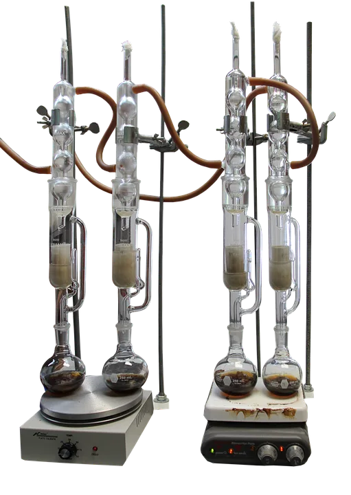 Bitcoin-Hype: Trumps Sparversprechen und die Suche nach Knappheit